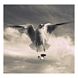 Highslide JS